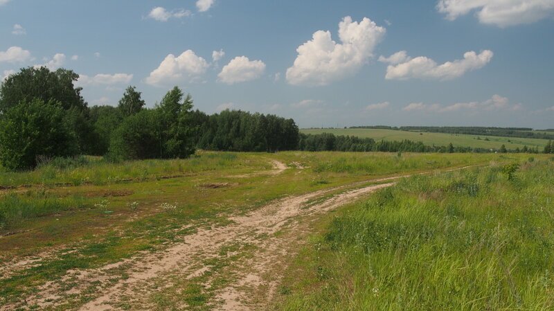 Красота сельских дорог