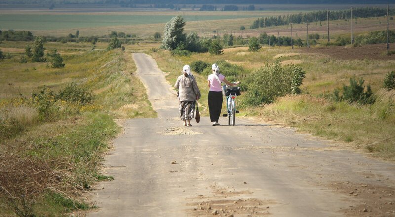 Красота сельских дорог