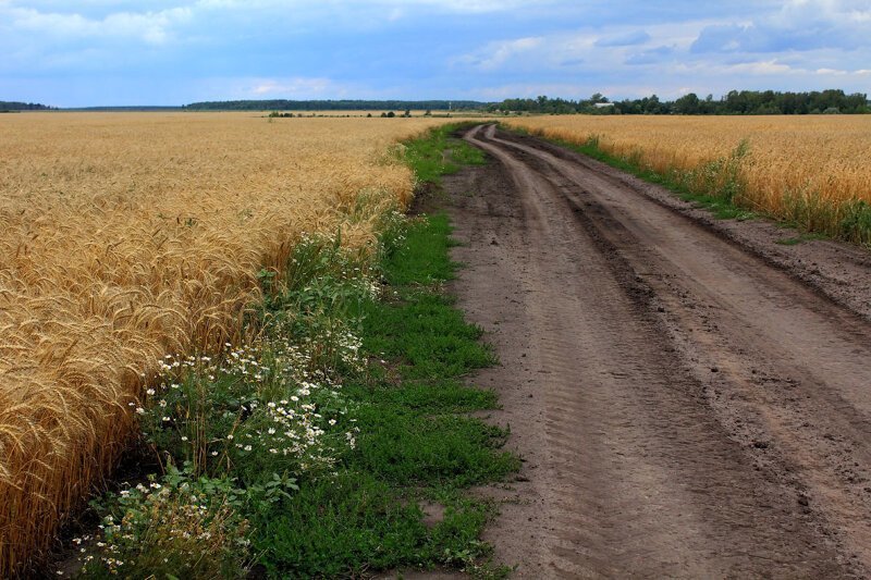 Красота сельских дорог