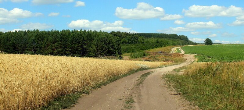 Красота сельских дорог