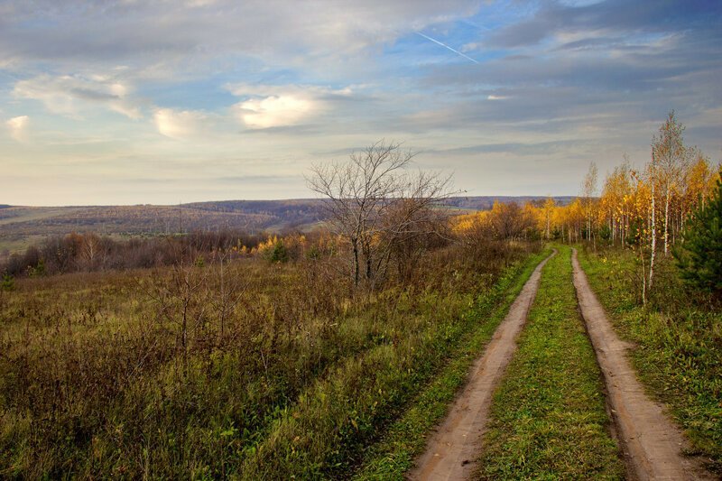 Красота сельских дорог