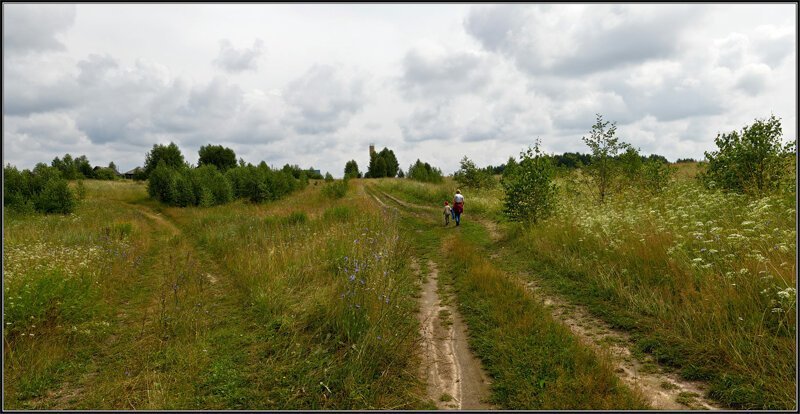 Красота сельских дорог