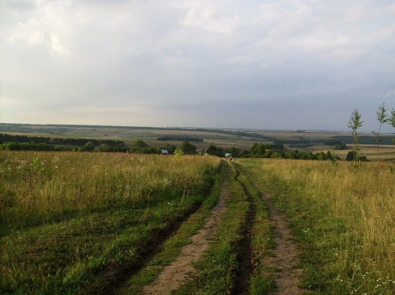 Красота сельских дорог