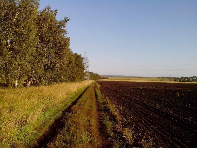 Красота сельских дорог