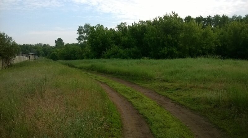 Красота сельских дорог