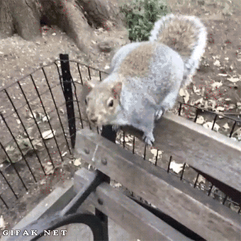 912cbf7b0a6ccbdbf358fbf22ff3e038.gif