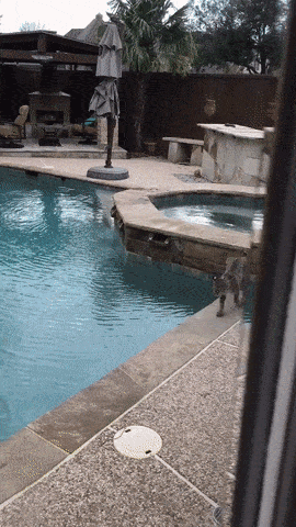 Сделал дело, гуляй смело