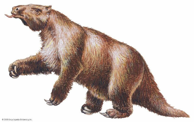 5. Мегатерий (Megatherium)