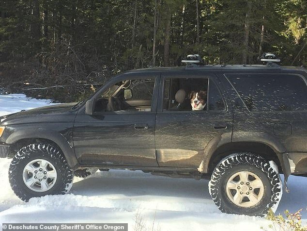 Американец, застрявший в снегу на авто, продержался 5 дней на остром соусе