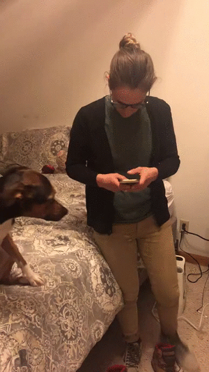 Когда приходится делить внимание с телефоном