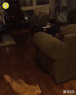 Во вратари принят