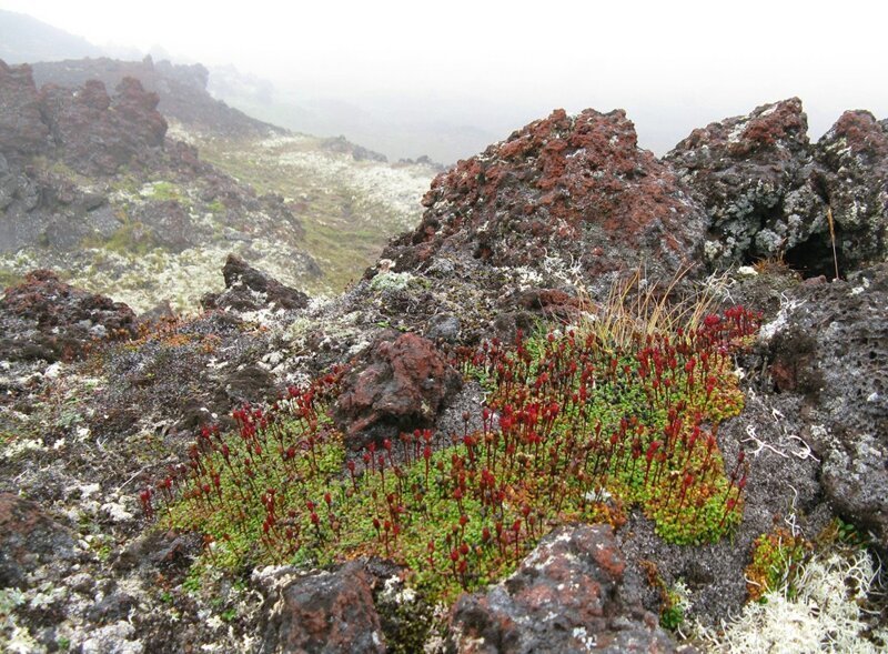 Туманные образы Камчатки. Кальдера вулкана Горелый