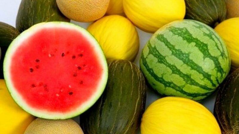 Какие фрукты и овощи лучше покупать только в сезон