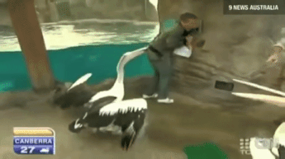 Гифки разные