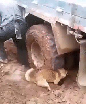 Гифки разные