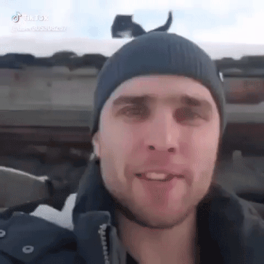 Гифки разные