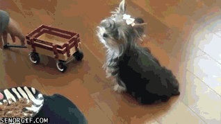 Гифки разные