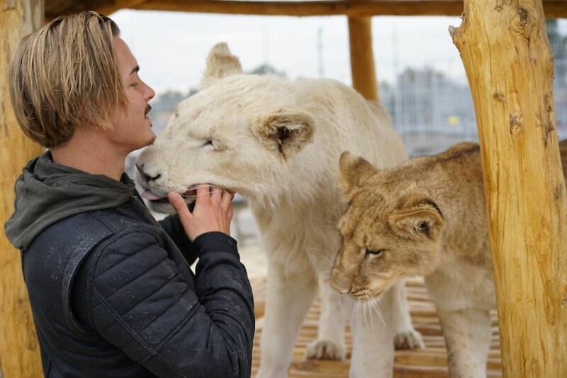 Парень из Швейцарии оставил престижную работу и переехал в Африку для спасения покалеченных животных