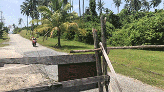 Прикольные гифки