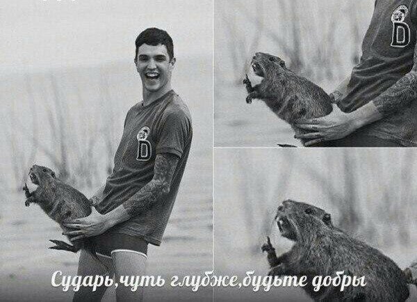 Картинки с надписями