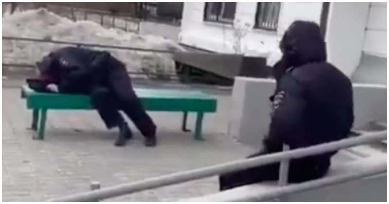 Заработались: В Подмосковье сняли на видео заснувших на улице пьяных полицейских