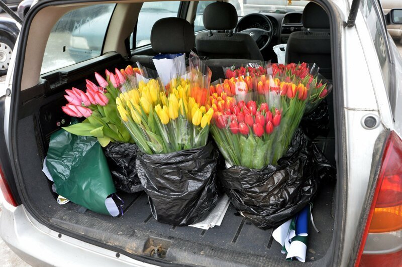 Охранники собирались купить 3000 тюльпанов к 8 марта, но их облапошили