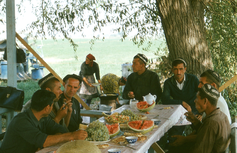 Окрестности Самарканда. Работники совхоза отдыхают, угощаясь виноградом, дынями и чаем во время сбора урожая хлопка, а работницы готовят основное блюдо