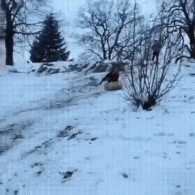 Гифки разные