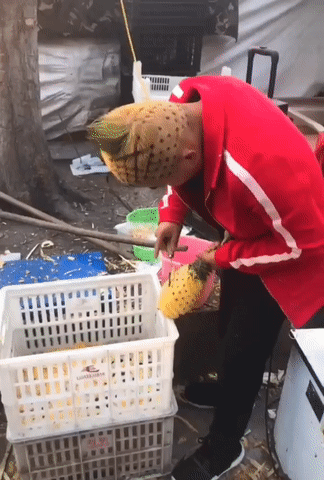 Когда ты фанат ананасов