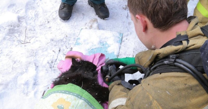 Смоленские пожарные спасли из горящей квартиры женщину и откачали ее кота