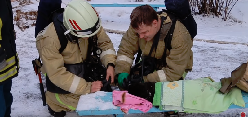 Смоленские пожарные спасли из горящей квартиры женщину и откачали ее кота