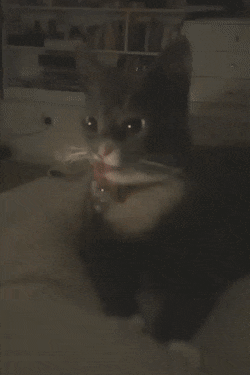 Гифки разные