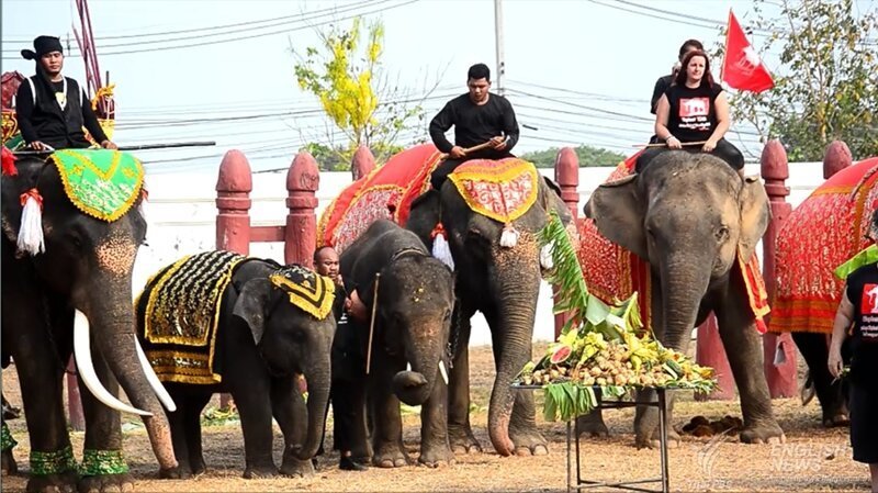 13 марта - день тайского слона