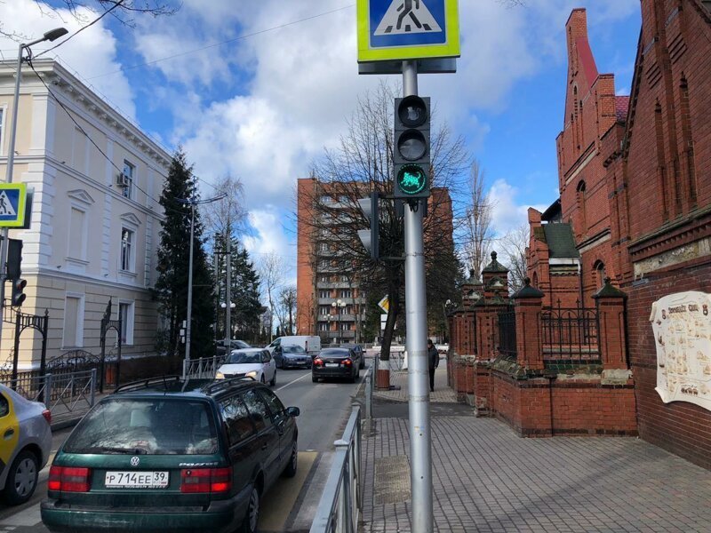 В Калининградской области установили светофор с котиками, но идея понравилась не всем