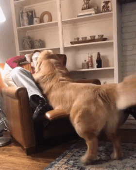 Пусти полежать