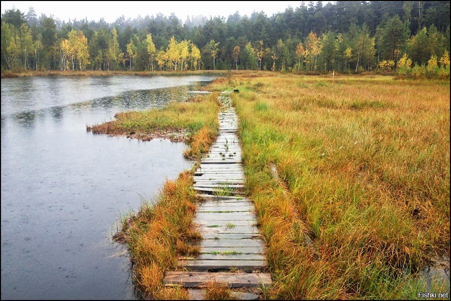 Дорога через оку