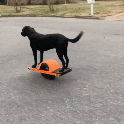 Подборка автомобильных гифок Подборка автомобильных гифок