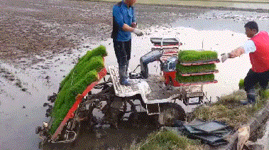 Подборка автомобильных гифок Подборка автомобильных гифок