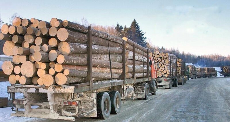 вывоз леса из Сибири в Китай
