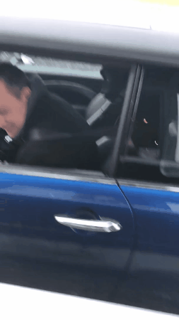 Собачьи гифки