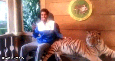 Пугающие розыгрыши gif