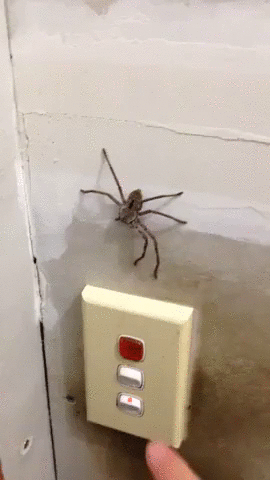 Гифки разные