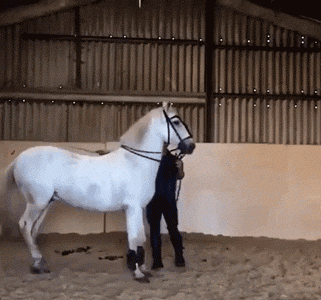 Гифки разные