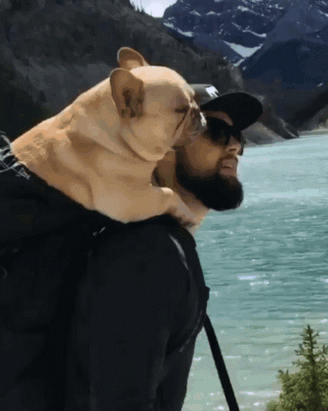 Гифки разные