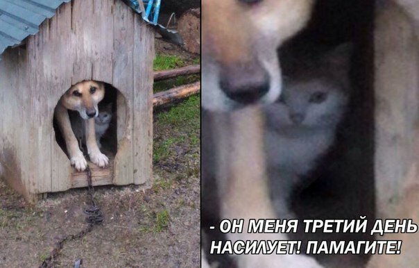 Картинки с надписями