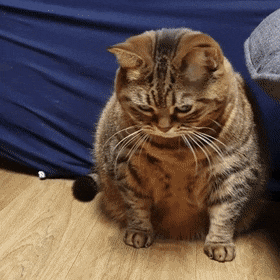 Гифки разные