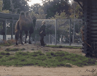 Гифки разные