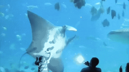 Гифки разные