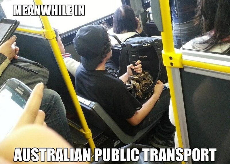 4. Между тем в австралийском общественном транспорте