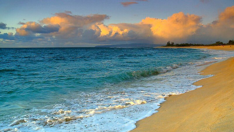 16. Лающий пляж на Гавайях.